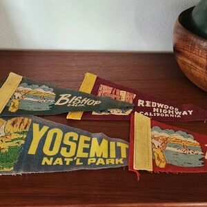 4 Vintage Pennants felt flag banners California city's